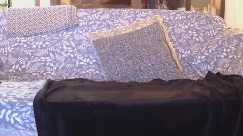 Gaz online show from January 1, 8:47 pm