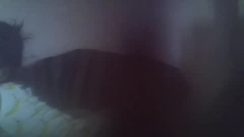 Snapshot of gasielah chatting on January 27, 1:19 pm gasielah online show from January 27, 1:19 pm