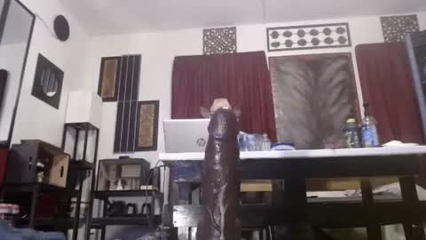 gatewaylaptop2019 online show from April 12, 6:07 am