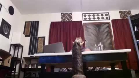 Snapshot of gatewaylaptop2019 chatting on April 26, 7:39 am gatewaylaptop2019 online show from April 26, 7:39 am