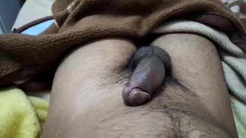 gbbdjr123 online show from January 12, 3:17 pm