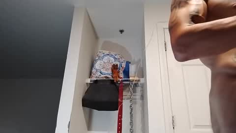 Zanecubano online show from September 13, 9:53 am