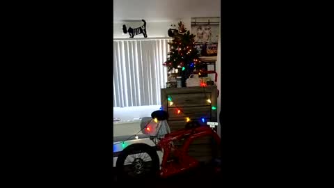 Zanecubano online show from December 4, 7:11 pm