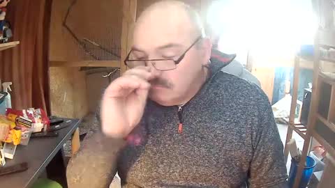 germany_50 online show from February 8, 3:53 pm