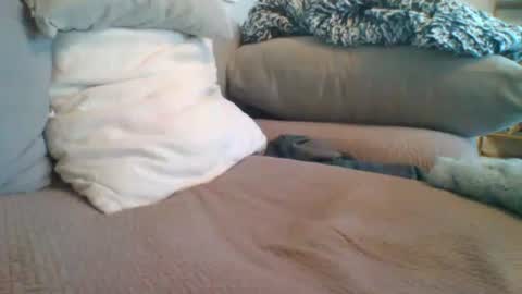 Snapshot of getsome11 chatting on March 8, 12:53 pm Getsome11 online show from March 8, 12:53 pm