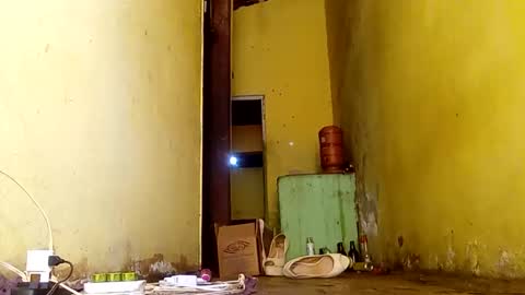 Gaby online show from November 14, 6:50 pm