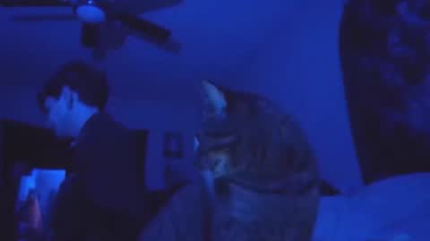 SrirachaSwitchblade  online show from November 13, 8:57 am