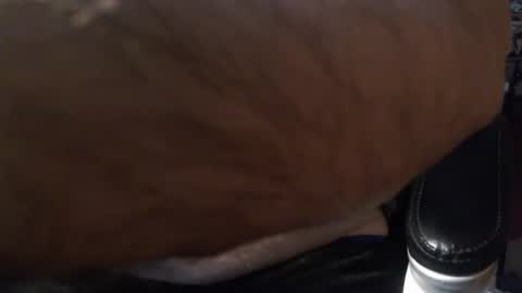 Gianni9000000 online show from February 5, 2:43 pm