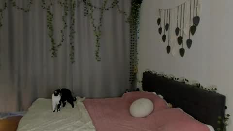 Gin online show from May 16, 6:43 am