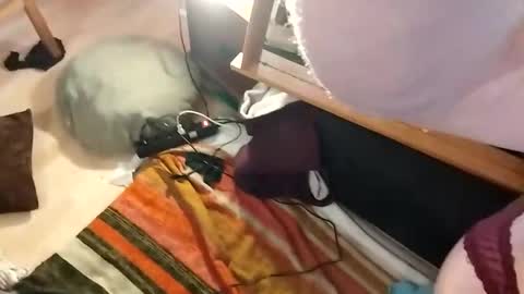 Tumnusus online show from February 27, 7:55 am