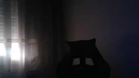 Snapshot of gioshadow chatting on May 26, 3:52 pm gioshadow online show from May 26, 3:52 pm