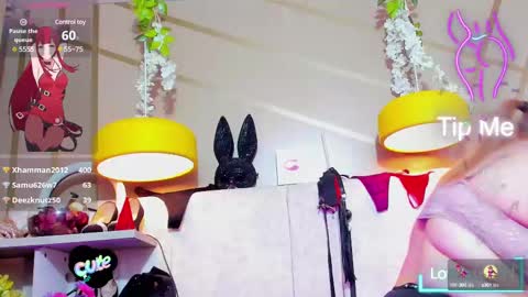 Girl Amada online show from March 7, 9:51 am