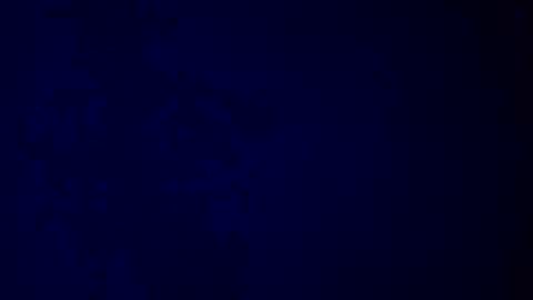 elen06 online show from December 16, 9:25 am