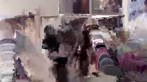 black  white online show from March 24, 12:59 am