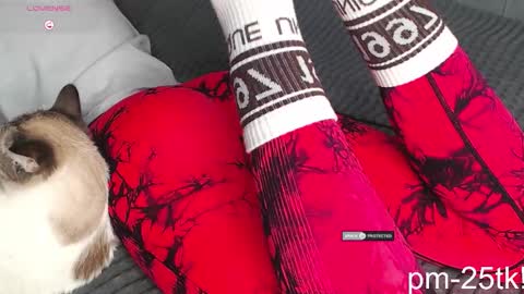 Goddess EmmaBratt princess online show from February 3, 1:49 pm