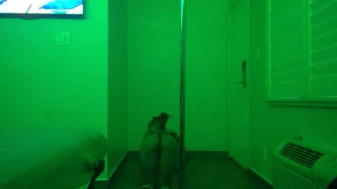 Snapshot of gogetter4life213 chatting on February 2, 4:32 pm gogetter4life213 online show from February 2, 4:32 pm