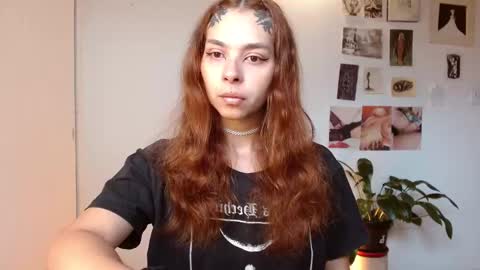 Alaska online show from December 16, 12:54 pm