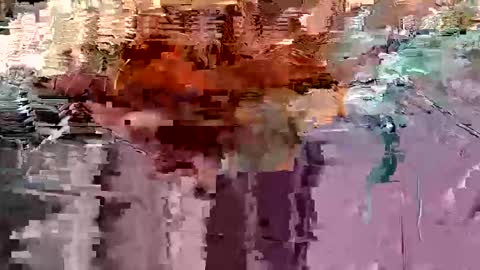 Snapshot of gonadalache chatting on November 17, 3:56 am gonadalache online show from November 17, 3:56 am