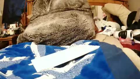 Snapshot of goodbootaye chatting on December 27, 6:10 pm Juicy Booty online show from December 27, 6:10 pm