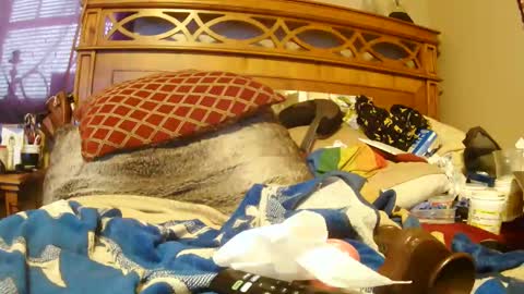 Snapshot of goodbootaye chatting on January 18, 6:53 pm Juicy Booty online show from January 18, 6:53 pm