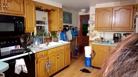 goodgirlcelestecat online show from March 23, 10:30 am