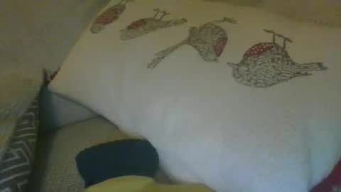 Snapshot of gooner_brit chatting on February 22, 6:52 pm gooner_brit online show from February 22, 6:52 pm