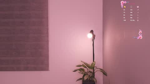 Snapshot of gorgeous_brunette chatting on May 19, 6:31 am Rose online show from May 19, 6:31 am