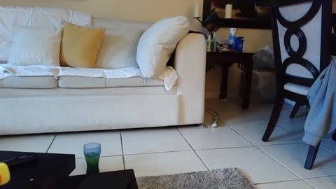 gothbaby305 online show from September 16, 5:58 pm