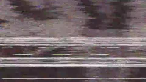        online show from November 5, 1:55 pm