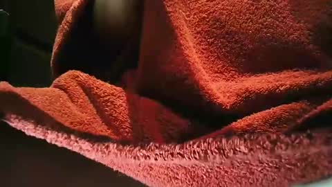 grapefruit online show from March 1, 9:59 pm