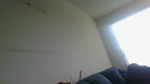 Snapshot of gringoloco253783 chatting on December 31, 4:46 pm certifiedloverboy online show from December 31, 4:46 pm