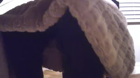 grower2153 online show from November 24, 12:05 pm