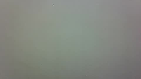 growerboy25 online show from November 26, 2:56 am