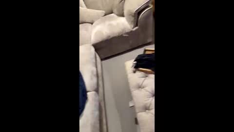 Snapshot of gt79802068 chatting on November 11, 7:03 pm gt79802068 online show from November 11, 7:03 pm