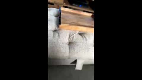 Snapshot of gt79802068 chatting on November 22, 12:04 pm gt79802068 online show from November 22, 12:04 pm