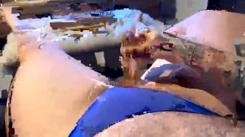 Snapshot of gt79802068 chatting on January 11, 6:07 am gt79802068 online show from January 11, 6:07 am