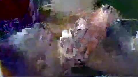 Gary online show from January 18, 1:42 am