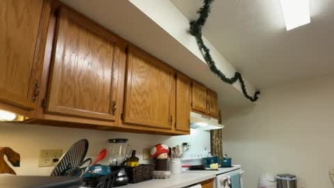 gucciboi4 online show from November 23, 7:35 pm