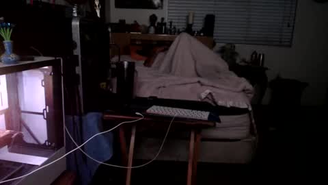 Mario online show from February 22, 2:04 pm