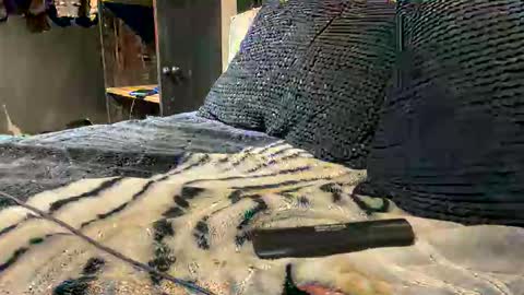 gumbywanna online show from March 15, 2:39 am