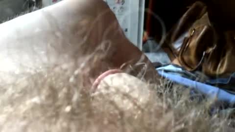 guttersnipe71 online show from November 15, 2:13 pm