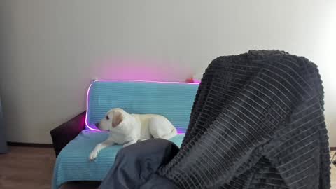 guy_liam1 online show from December 20, 8:06 am