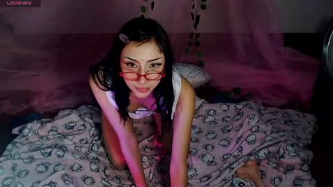 Hachi 3 online show from July 15, 5:02 am