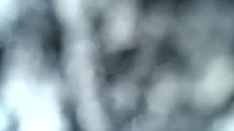 tatted blonde online show from January 17, 12:53 am