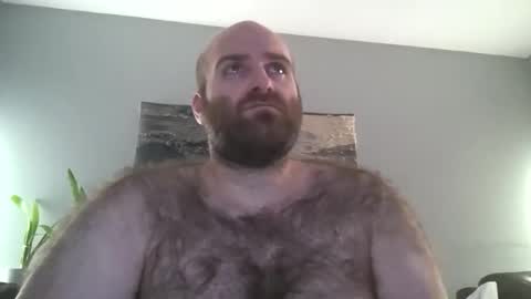 Hairiest Bear online show from December 23, 7:50 am