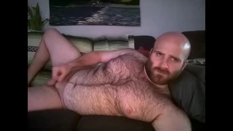 Snapshot of hairiestbear chatting on April 22, 11:39 pm Hairiest Bear online show from April 22, 11:39 pm