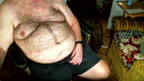 hairybear813 online show from November 2, 9:50 pm