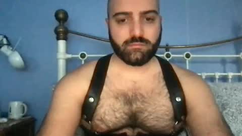 Hairy Guy online show from January 14, 2:22 pm