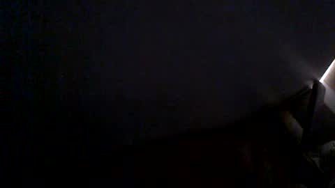 Snapshot of hairyman007 chatting on June 24, 9:52 am hairyman007 online show from June 24, 9:52 am