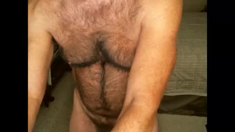 Hairy pecs online show from November 28, 8:39 am